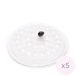 Disposable glue holder, 5 pcs 1 Starry lashes